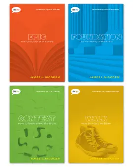Read: Book Bible Savvy Set of 4 books