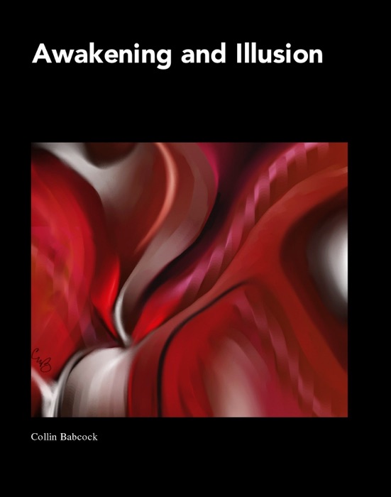 Awakening and Illusion
