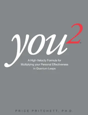 You2 by Price Pritchett book