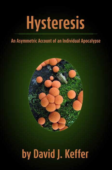 Hysteresis: An Asymmetric Account of an Individual Apocalypse