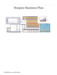 Hospice Business Plan