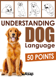 Understanding Dog Language - 50 Points