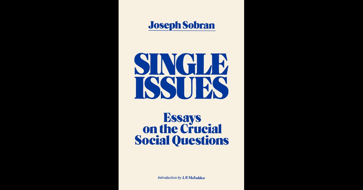 Essay on social issue