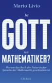 Ist Gott ein Mathematiker? - Mario Livio