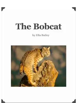 Read: Bobcat