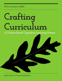 Crafting Curriculum