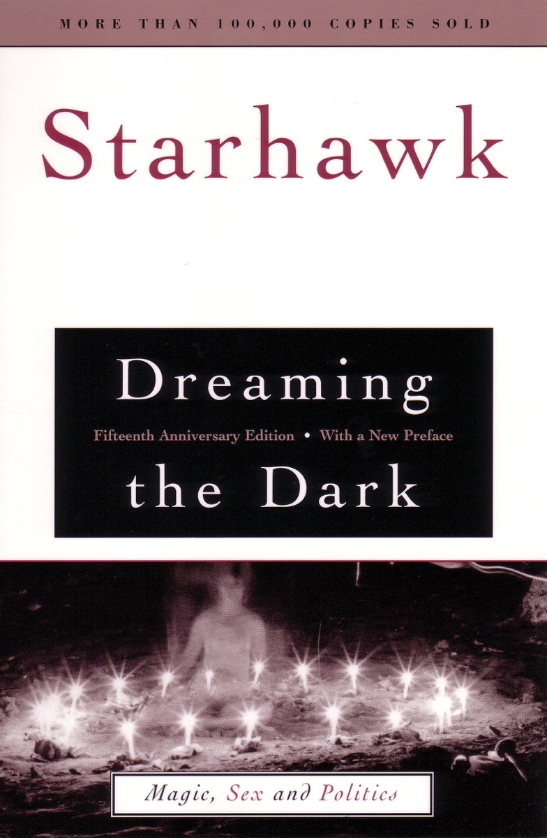 Dreaming the dark cover