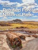 Book Pictures from Petrified Forest National Park