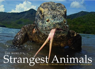 The World's Strangest Animals by Paula Hammond