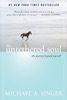 Book The Untethered Soul