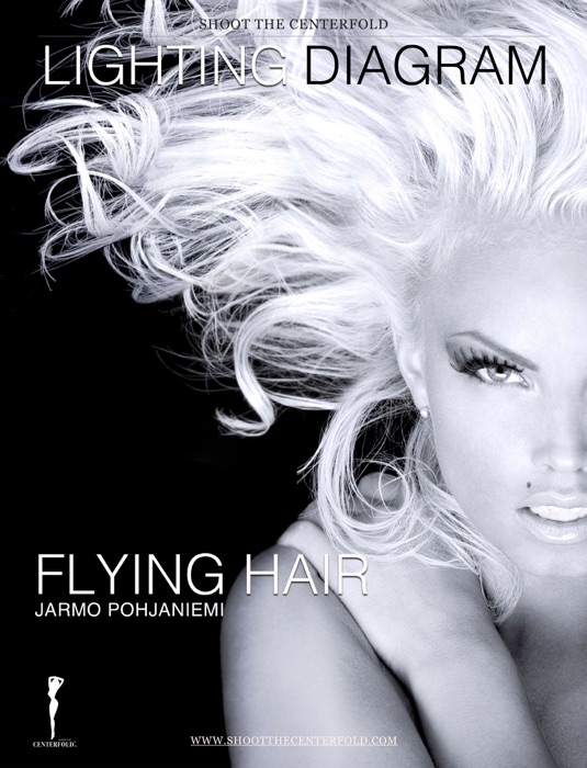 Flying Hair Lighting Diagram