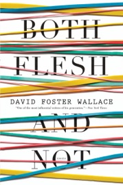 Both Flesh and Not - David Foster Wallace