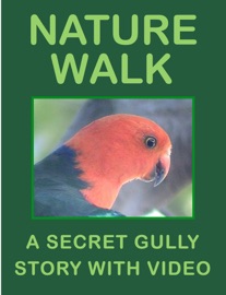 Nature Walk - Peter Harris