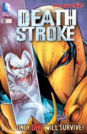Deathstroke (2011- ) #12 - Rob Liefeld