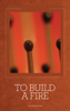 To Build a Fire - Jack London