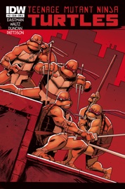 Teenage Mutant Ninja Turtles #12 - Tom Waltz, Kevin Eastman & Dan Duncan