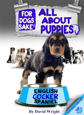 Read: All Book About English Cocker Spaniel Puppies