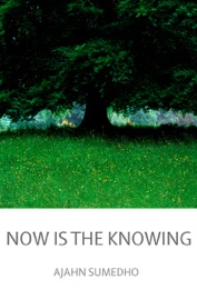 Now is the Knowing - Ajahn Sumedho