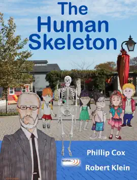 The Human Skeleton