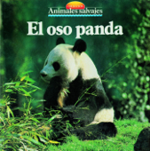 El oso panda - Equipo Parramón