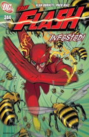 The Flash (1987-2008) #244 - Alan Burnett & Paco Diaz Luque