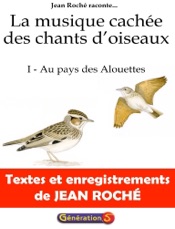 La musique cachée des chants d'oiseaux