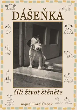 Read: Dášeňka, Book čili život štěnetě