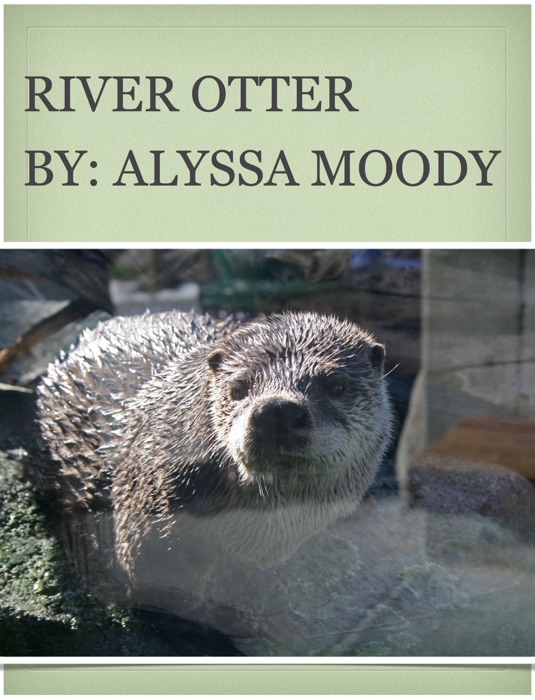 River Otter