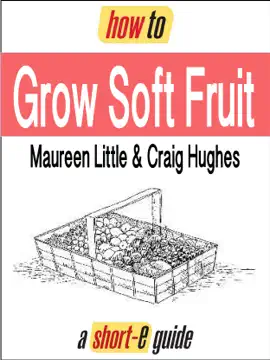 How to Grow Your Own Soft Fruit (Short-e Guide)