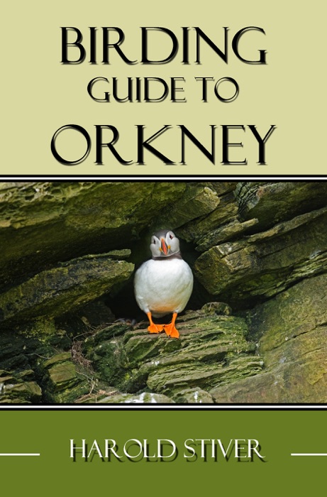 Birding Guide to Orkney