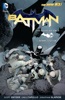 Book Batman: The Court of Owls (Batman 75 Edition)