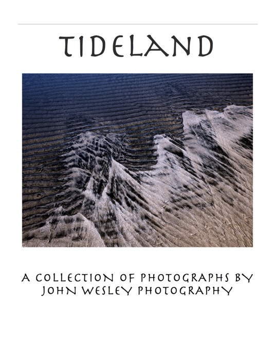 Tideland