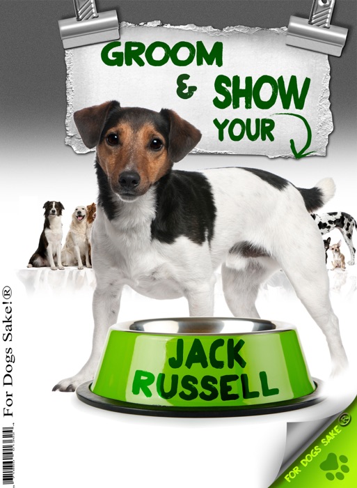 Groom and Show Your Jack Russell