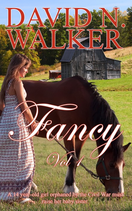Fancy Vol 1