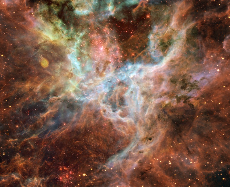Stellar Astronomy