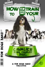 How to Train Your Cavalier King Charles Spaniel