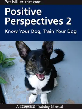 Positive Perspectives 2