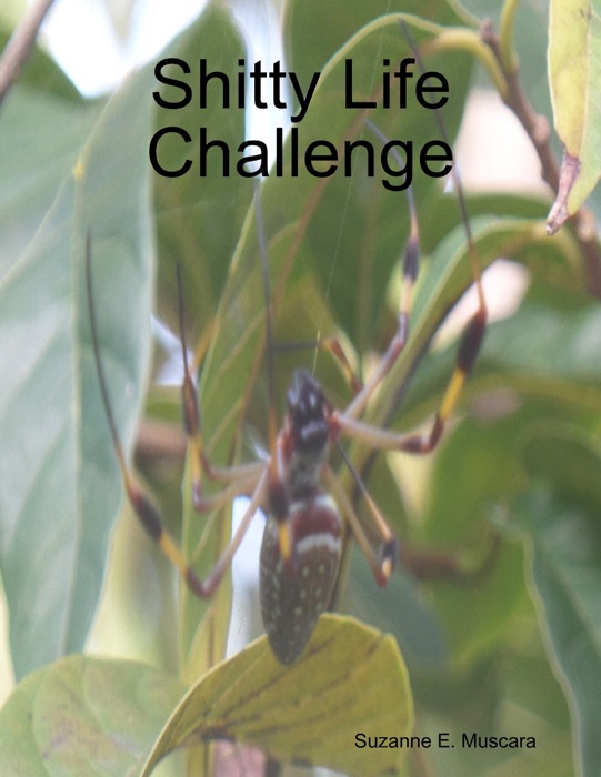 S****y Life Challenge