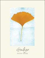 Ginkgo