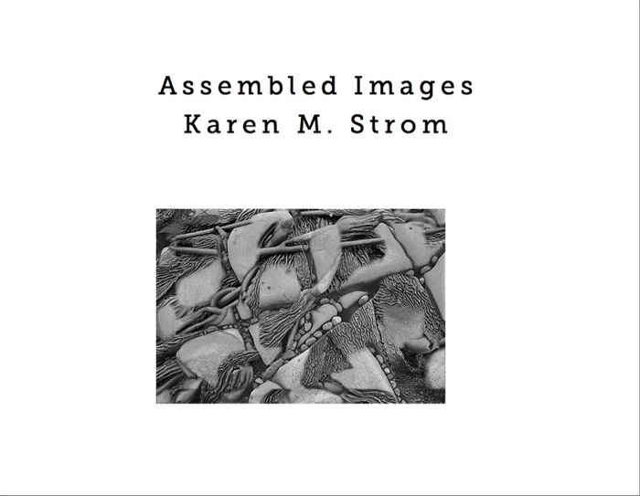Assembled Images