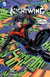 Nightwing (2011-2014) #19 - Kyle Higgins & Brett Booth