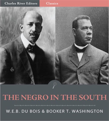 The Negro in the South