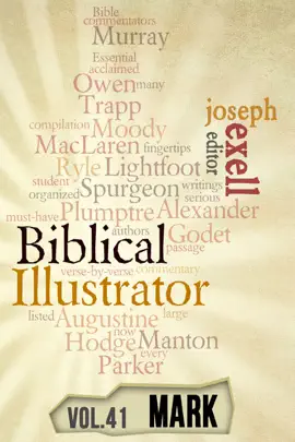 Read: The Biblical Illustrator - Vol. 41 - Pastoral Commentary on Book Mark