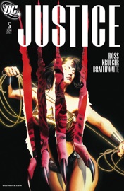 Justice (2005-2007) #5 - Jim Krueger, Alex Ross & Doug Braithwaite