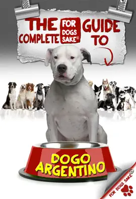 Read: The Complete Guide to Book Dogo Angentinos