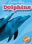 Dolphins - Ann Herriges