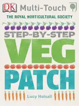 Step-By-Step Veg Patch