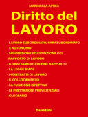 Diritto del Lavoro - Marinella Aprea