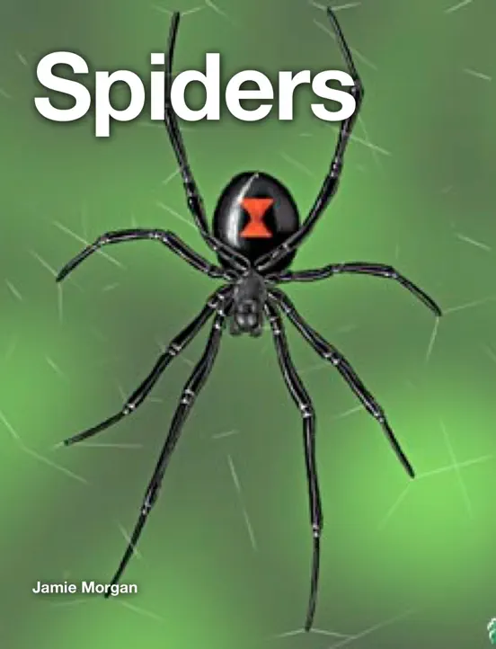 Spiders