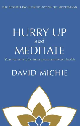 Read: Hurry Up and Book Meditate
